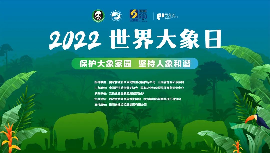 2022年“世界大象日”公益宣传活动成功举办